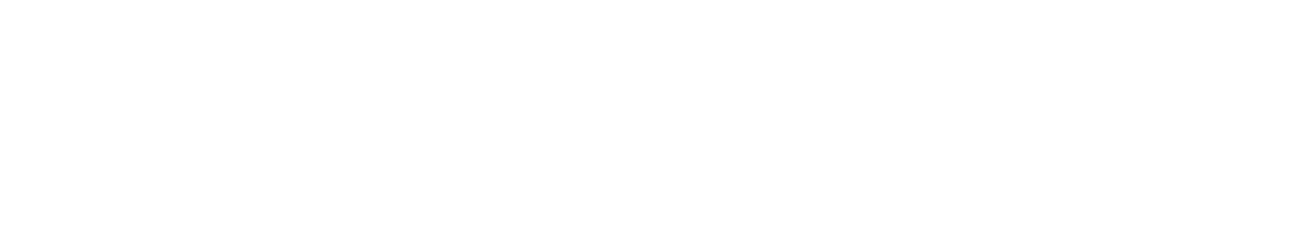 Firmenlogo bayerlein networks GmbH in weiß